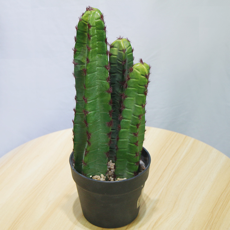 High-Quality-Faux-Greenery-Plastic-Plant-Home-Decor-Cactus (3).jpg 